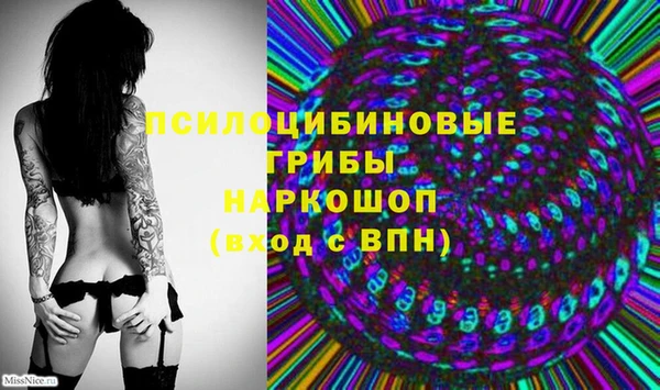 прущая мука Гусь-Хрустальный