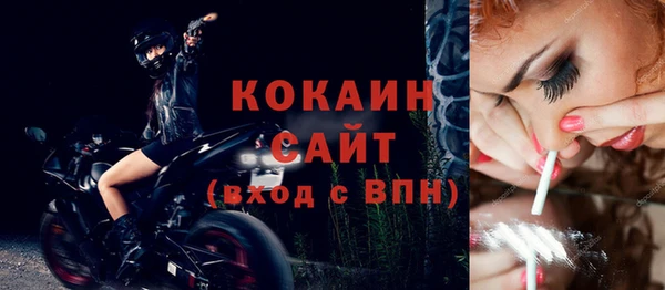 шишки Горняк