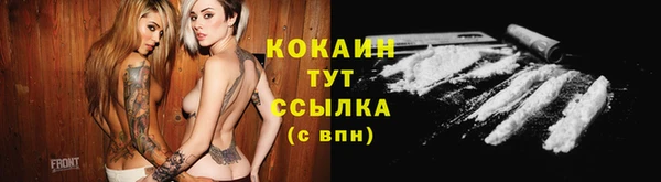 гидра Гусиноозёрск