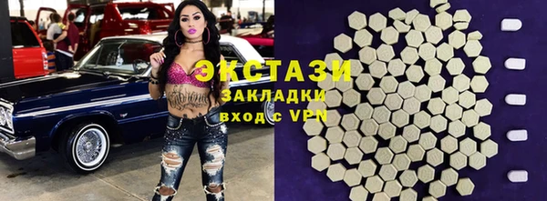 гидра Гусиноозёрск