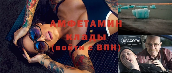гидра Гусиноозёрск