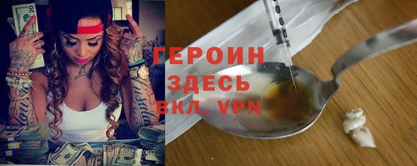 гидра Гусиноозёрск