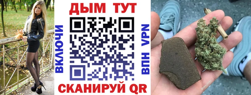 Купить закладки  Людиново  Бошки марихуана Ganja 
